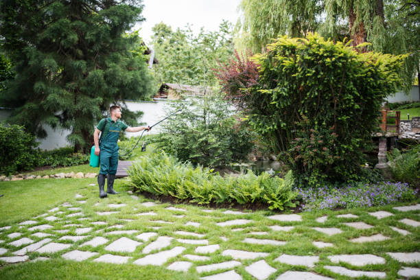 Best Bird Control  in Walton Hills, OH